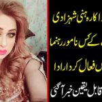 Honorable actor Honey Princess Honorable leader of the Tehreek-e-Insaf, is playing an active role in the election campaign? Incredible news came