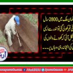 2800 years old grave was opened in the Muslim country then