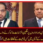 Successful development: What kind of relationships are there between Justice Shaukat Aziz Siddiqui and Nawaz Sharif who have serious allegations on judiciary and institutions? Diving News