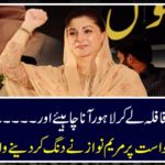"Mehar al-Nisa should come to Lahore by taking a caravan and ....." (N) heard of a petitioner's decision on LEGI support petition.
