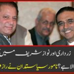 Big discovery: When and how is alliance between Nawaz Sharif and Zardari? The famous politician secrets secretly