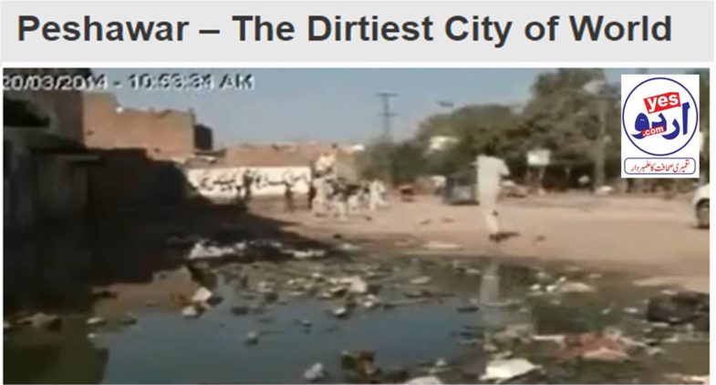 ex-president, pmln, france, javed butt