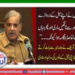 "I hit my cell door tightly and then there was a good deal because ..." Shahbaz Sharif heard Hamid Mir listening to his jail days.