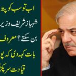 Now everyone knows, but why can not Shahbaz Sharif become prime minister? The famous journalist said that the whole party led the head and sat down
