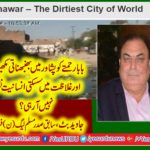 ex-president, pmln, france, javed butt