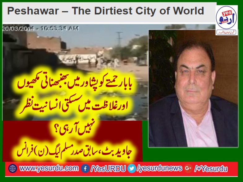 ex-president, pmln, france, javed butt