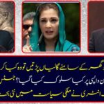 What do they do if Nawaz Sharif reads the ball before the house? What was the treatment of Pakistan with Mary Nawaz? The sudden entry of Justice Shaukat Aziz has teamed up new politics in politics