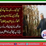 The storm came at the Internet to Jhangir tareen independent candidates together