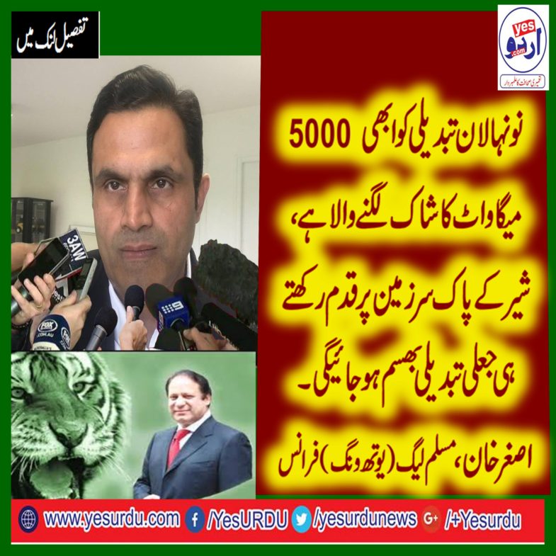 asghar khan, president, pmln, youthwing, france, said, nawaz sharief, will, return, and, will, give, shock , to, vote, for, change