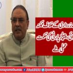 Potential action against Asif Zardari, PPP's strategy fixed