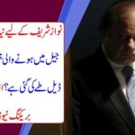 Nawaz Sharif ready for new nurse ... What deal has been made in a secret meeting in prison? News broke out from Adela Prison