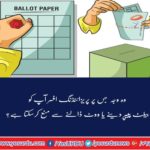 Explanation of election process: When what and how?
