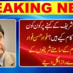 What illegal acts have I done for Shahbaz Sharif? Fadad Hassan Fawad swallowed all secrets in front of NAB officials