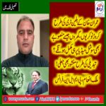 IMRAN, KHAN'S, MANIFESTO, WILL, BE, COMPLETED, THROUGH, SOCIAL MEDIA, ONLY, LIKE, BILLION, TREE, AND, OTHERS, SAID, MALIK INAM, GENERAL, SECRETARY, PMLN, YOUTH, WING, FRANCE