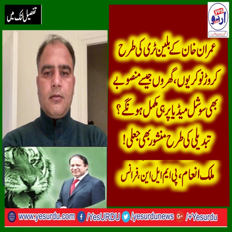 IMRAN, KHAN'S, MANIFESTO, WILL, BE, COMPLETED, THROUGH, SOCIAL MEDIA, ONLY, LIKE, BILLION, TREE, AND, OTHERS, SAID, MALIK INAM, GENERAL, SECRETARY, PMLN, YOUTH, WING, FRANCE