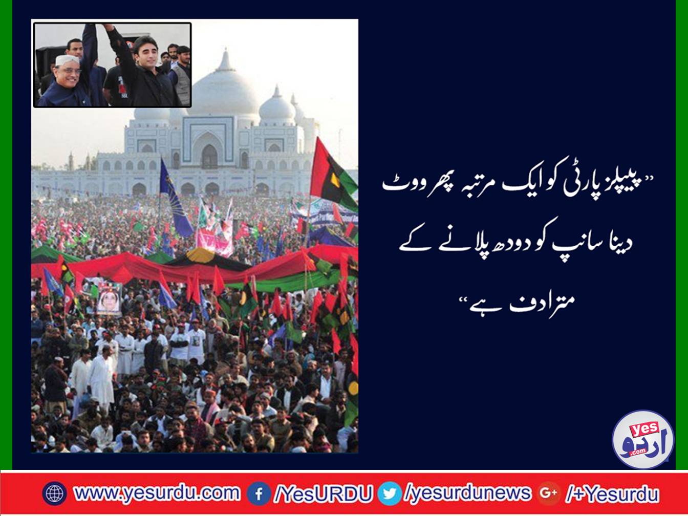 'PPP has not given anything except hunger and despair'