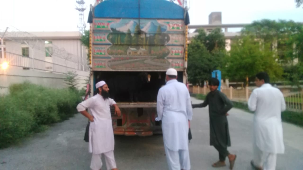 Starting the sacrifice smuggling animal before Eid ul-Azha comes
