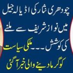 Chaudhry Nisar's attempt to meet Nawaz Sharif in Adela Jail ....