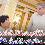 External Affairs Minister Shah Mehmood Qureshi has jumped into the field to keep the view of Imran Khan
