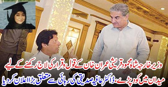 External Affairs Minister Shah Mehmood Qureshi has jumped into the field to keep the view of Imran Khan