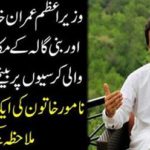 The journalist sitting on the chair of Prime Minister Imran Khan's good book and the house of the villa of the house ...