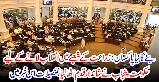 New Pakistan will become the Government of Punjab to take revenge in the agriculture sector.