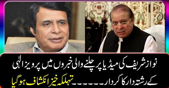 The role of Parvez Elahi's relative in the news on Nawaz Sharif's media.