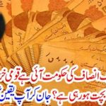 Since the government of Tehrik-E-Insaaf has come, how many money is the national treasury going on daily?