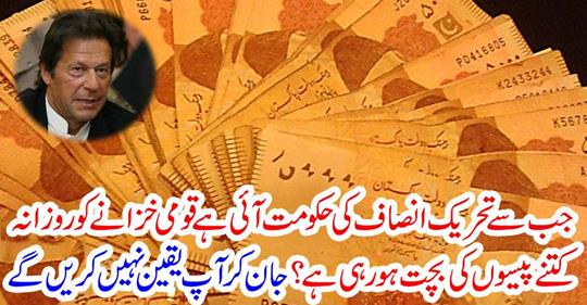 Since the government of Tehrik-E-Insaaf has come, how many money is the national treasury going on daily?