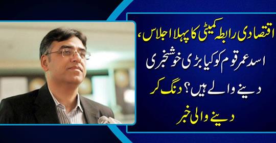 First meeting of Economic Contact Committee..