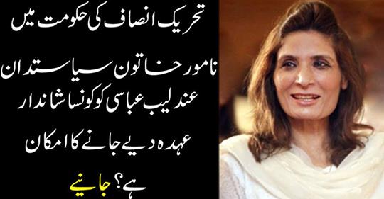 In the government of Tehreek-e-Insaf, a prominent female politician,Andleeb Abbasi, is likely to be a wonderful place