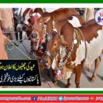 Eid holiday was announced