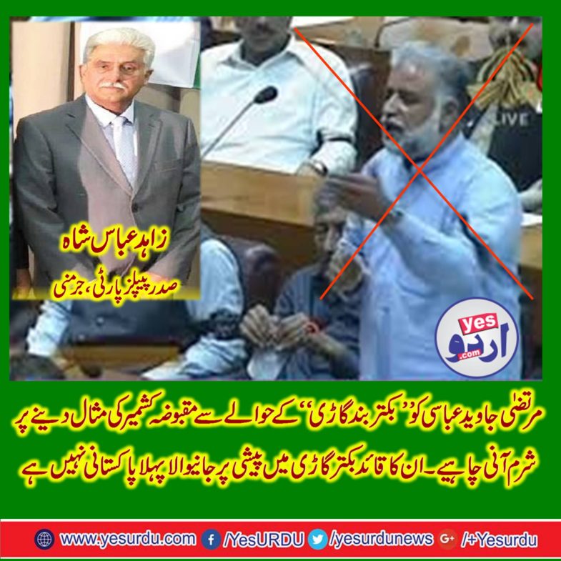 ZAHID ABBAS SHAH, PRESIDENT, PPP, GERMANY, CONDEMNED, MURTAZA, ABBASI'S, CONTROVERCIAL, STATEMENT