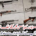 How many civilian casualties do Pakistani citizens have?