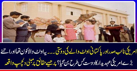 Friendship with American vice president and Pakistani camel....