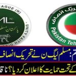 Finish the differences: PML-N announces support under the terms of Tehreek-e-Insaf?