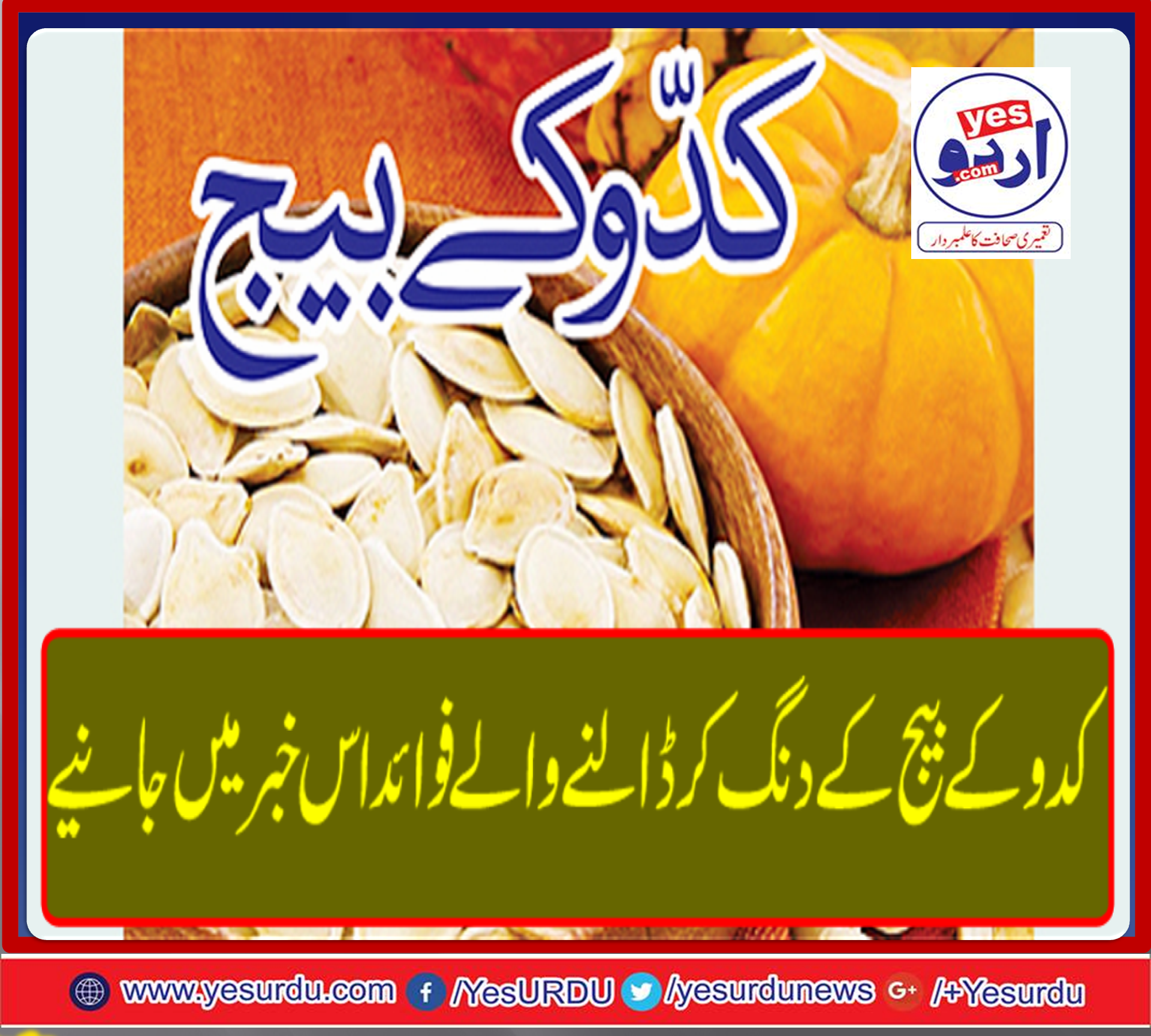 Hidden truth, dr shahid masood, hamid mir, kamran kyhan, shahzeb khanzada, dr maliha lodhi, ali jehangir siddiqui, visa, lottery, looto, stock exchange, shares, gold, rates, silver, bomb, dynamite, nobel prize, peace, UNCHR, IMF, Fabiha Sherazi, Nadeem Sarwar, Fakhar Zaman, Rishi Kapoor, Rida Isfahani, Faryal Makhdoom, Javed Afridi, Ahad Raza Mir, Hania Amir, Momina Mustehsan, youtube, facebook, amazon, gmail, google, craigslist, ebay, Netflix, walmart, google maps, yahoo mail, yahoo, google translate, weather, facebook login, home depot, maps, google docs, translate, pornhub, target, paypal, usps tracking, lowes, love, hotmail, calculator, dictionary, india, Pakistan, Pakistani, Kapil Sharma show, google drive, best buy, pinterest, bank of America, olx, Pandora, geo, tv, film, song, drama, movie, English, urdu, nusrat fateh ali khan, rahat fateh ali khan, pinki pirni, imran khan, Punjab, Baluchistan, sindh, Khyber pakhtoonkhawah, united nations, Donald trump, twitter, youtube to mp3, youtube.com, instagram, wells fargo, google classroom, zillow, speed test, linkedin, draz.com, online shopping, twitter, cnn, mapquest, wallstreet, journal, medical, indeed, costco, ups tracking, capital one, usps, united kingdom, united states, you tube, amazon prime, pizza hut, kohls, sex, roblox, espn, cricinfo, xnxx, american airlines, chase, jemima goldsmith, jemima khan age, xvideos, dominos, Verizon, news, fox news, hulu, spotify, expedia, etsy, msn, macys, airbnb, steam, porn, turbotax, bed bath and beyond, dropbox, gamestop, you, groupon, thesaurus, southwest, aol mail, reddit, red light area, united airlines, prostitutes, papa johns, fedex tracking, Walgreens, twitch, google scholar, online tutorials, online degree, online tutorships, ikea, autozone, soundcloud, 123movies, credit karma, Indian movies, t-series, bollywood, holy wood, wwe, wrestlemania, jcpenney, shahid afridi, chris ghayle, whale, forest, imdb, Jurassic park, southwest airlines, PIA, powerball, Comcast, donald trump, minecraft, bing, harbor freight, traductor, media, BBC, world, Russia, putin, erdgon, nawaz sharief, evenfield reference, supreme court, Washington post, Canada, justin trude, hum tv, award, dunya tv, jobs, public tv, rozee, avanca trump, Hillary Clinton, milania trump, angela merkel, angelina jolie, angry birds, justin trudeau, justin trudeau wife, justin trudeau twitter, Kashmir, mamakroni bogor, Emmanuel Macron, kiss, "Rings" Prank, Chewbacca Mask Lady, Look What You Made Me Do, Massive Pillow Chair, The Shape of 2017, Fake Love, DNA,
