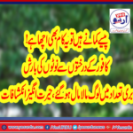 TREE, OF, KAFOOR, IS, SOURCE, OF, MONEY, KNOW, HOW