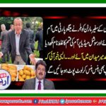 Germany's ambassador eat mangoes
