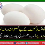 How egg beneficial for human health?