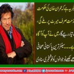 The job in Imran Khan's government will be found only on merit