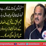 Naeem ul Haq dispatched the Tehreek-e-Insaf leader