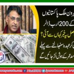 $ 200 billion foreigners Pakistanis
