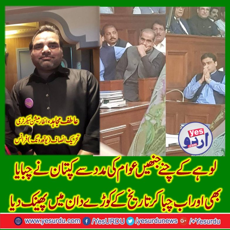 atif mujahid, information, secretary, youth wing, pti, france