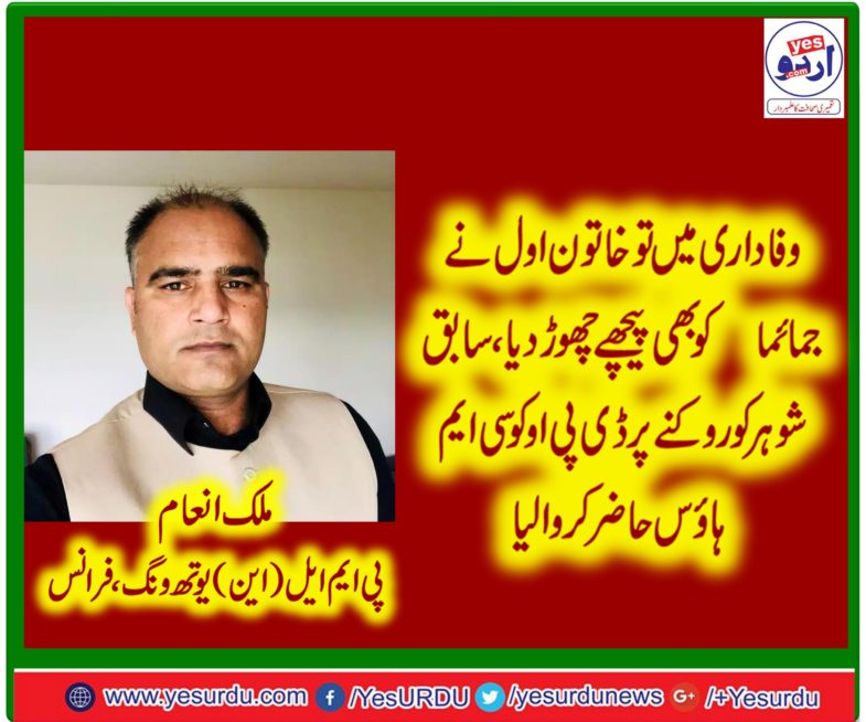 malik inam, secretary, information, PMLN (youth wing), France