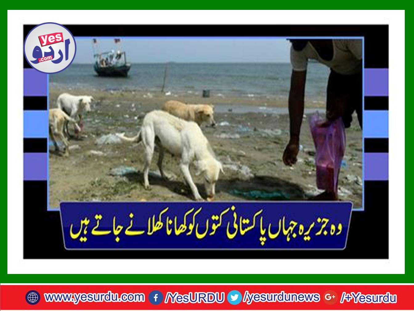 The island where Pakistani are feeding to dogs