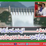 Pakistan Tehreek-e-Insaf's member of the National Assembly announced its first salary to be deposited in the DAM