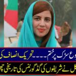 Starting on the road ... Zulfiqar Gul, famous woman leader of the Tehreek-e-Insaf, made history of the good news of the graves of the Tehreek-e-Insaf