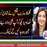 The famous Pakistani singer married in the United States