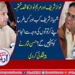 maryam nawaz, and, nawaz sharief, carrier, came, to, an, end, and, how, shehbaz sharief, will, be, meet, his, end, tells, hassan, nisar